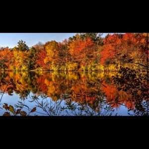 Fall sale *Make an offer